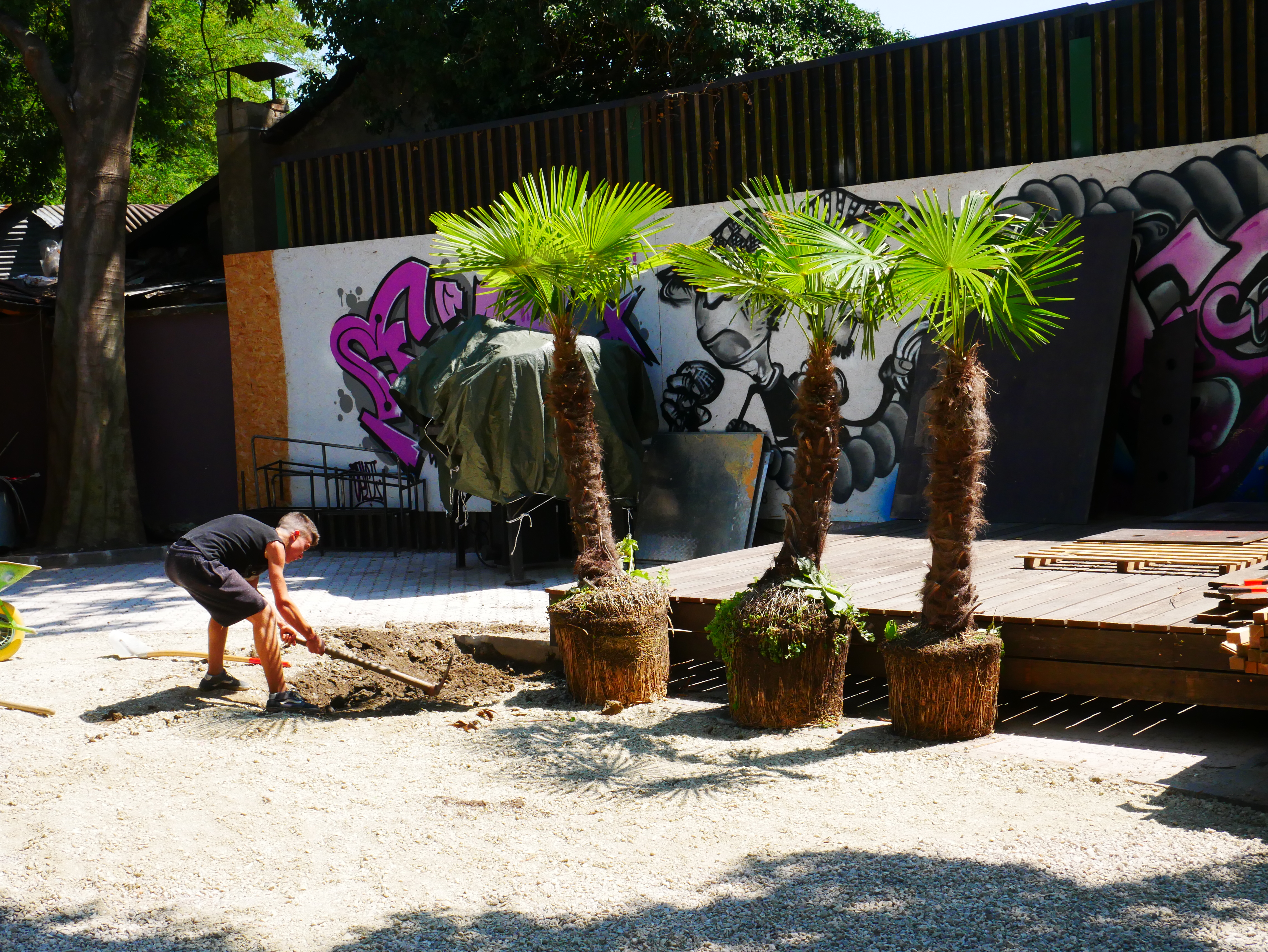 Noch mehr Pflanzen - Ulteriori piante - Jugendzentrum Jungle Meran