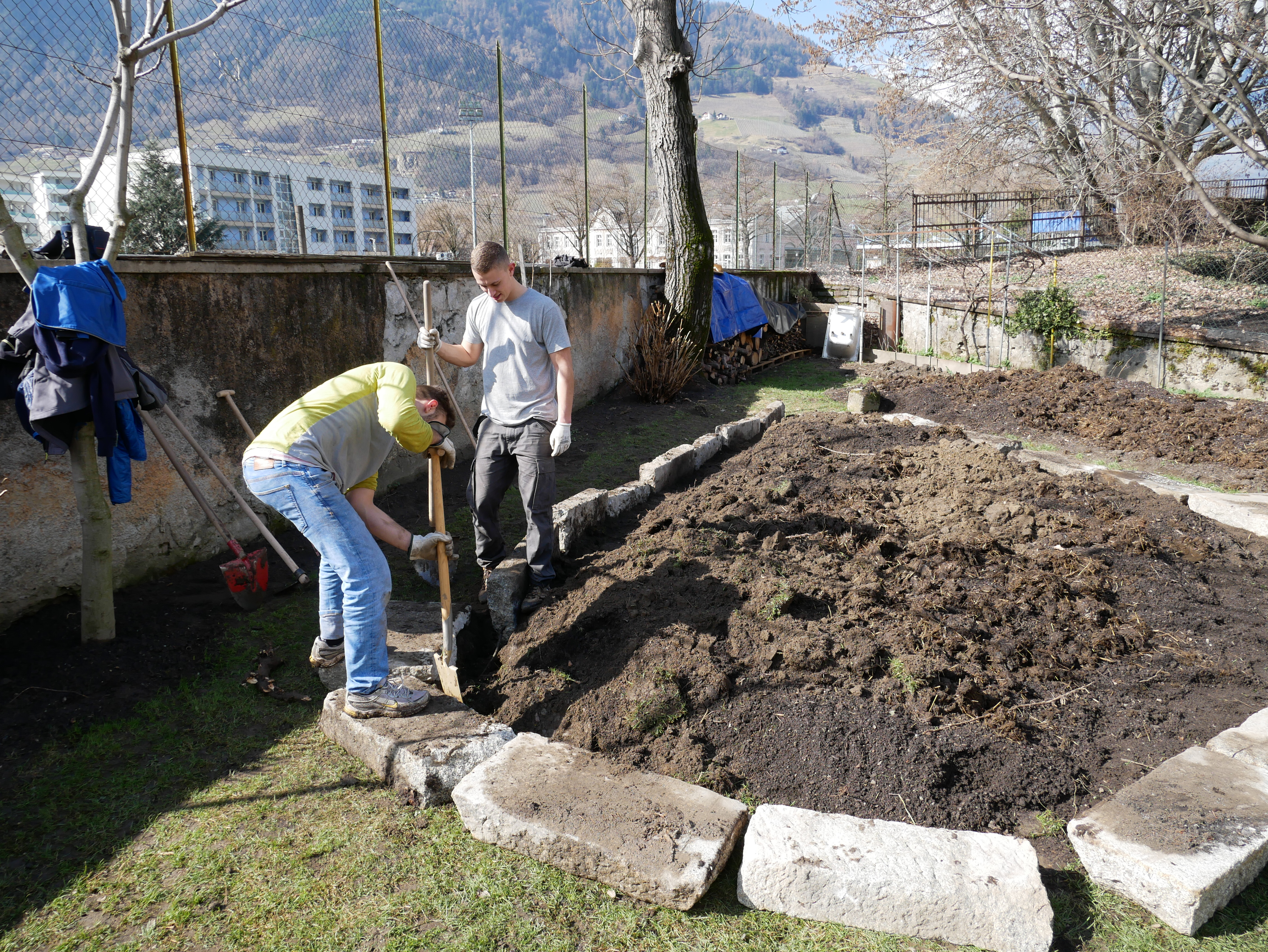 Randsteine Beete im Gemüsegarten - Pietre di confine per le aiuole nell'orto - Jugendzentrum Jungle Meran - Centro giovani Jungle Merano