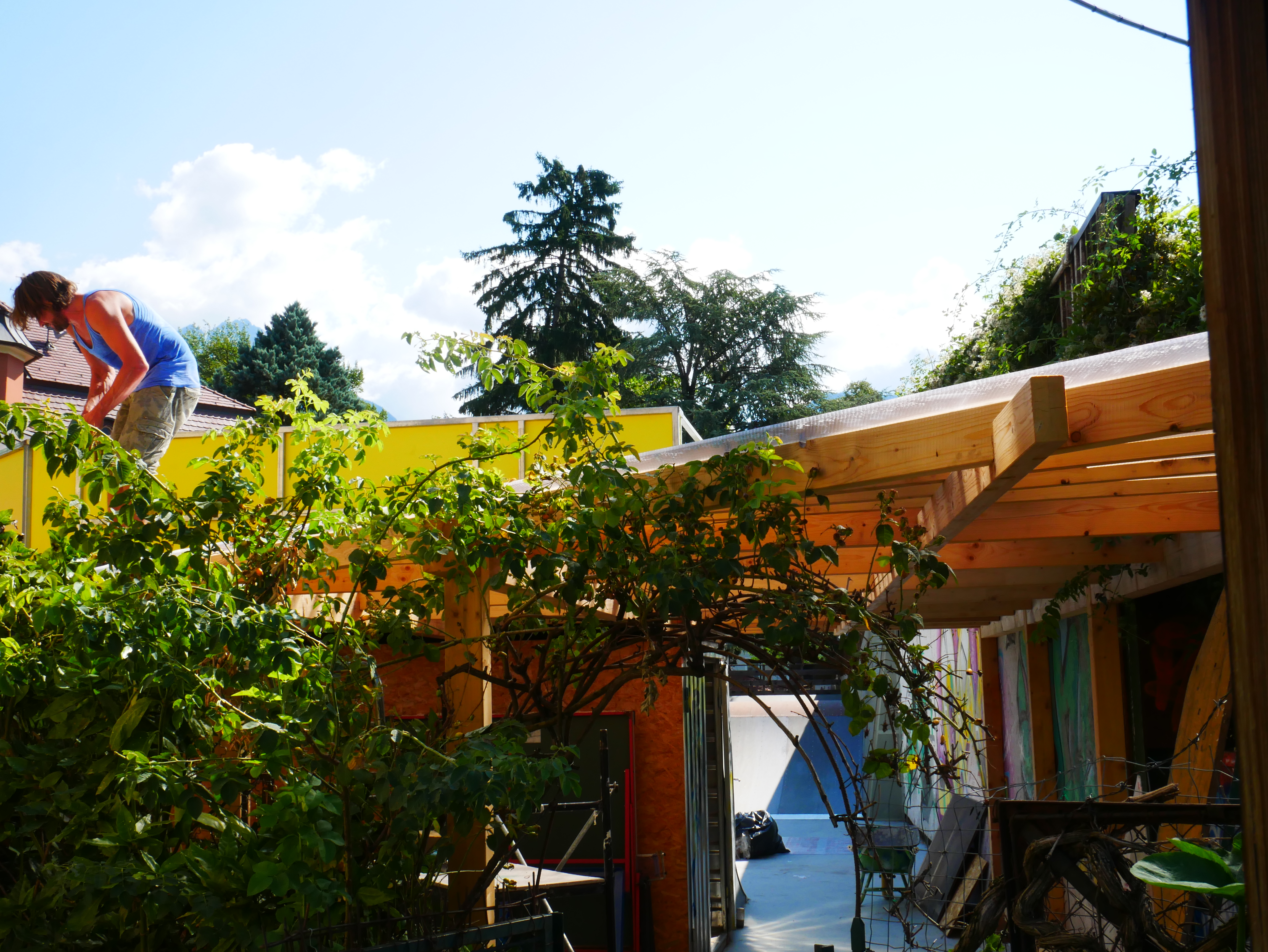 Dach Werkstatt - Tetto officina - Jugendzentrum Jungle Meran - Centro giovani Jungle Merano