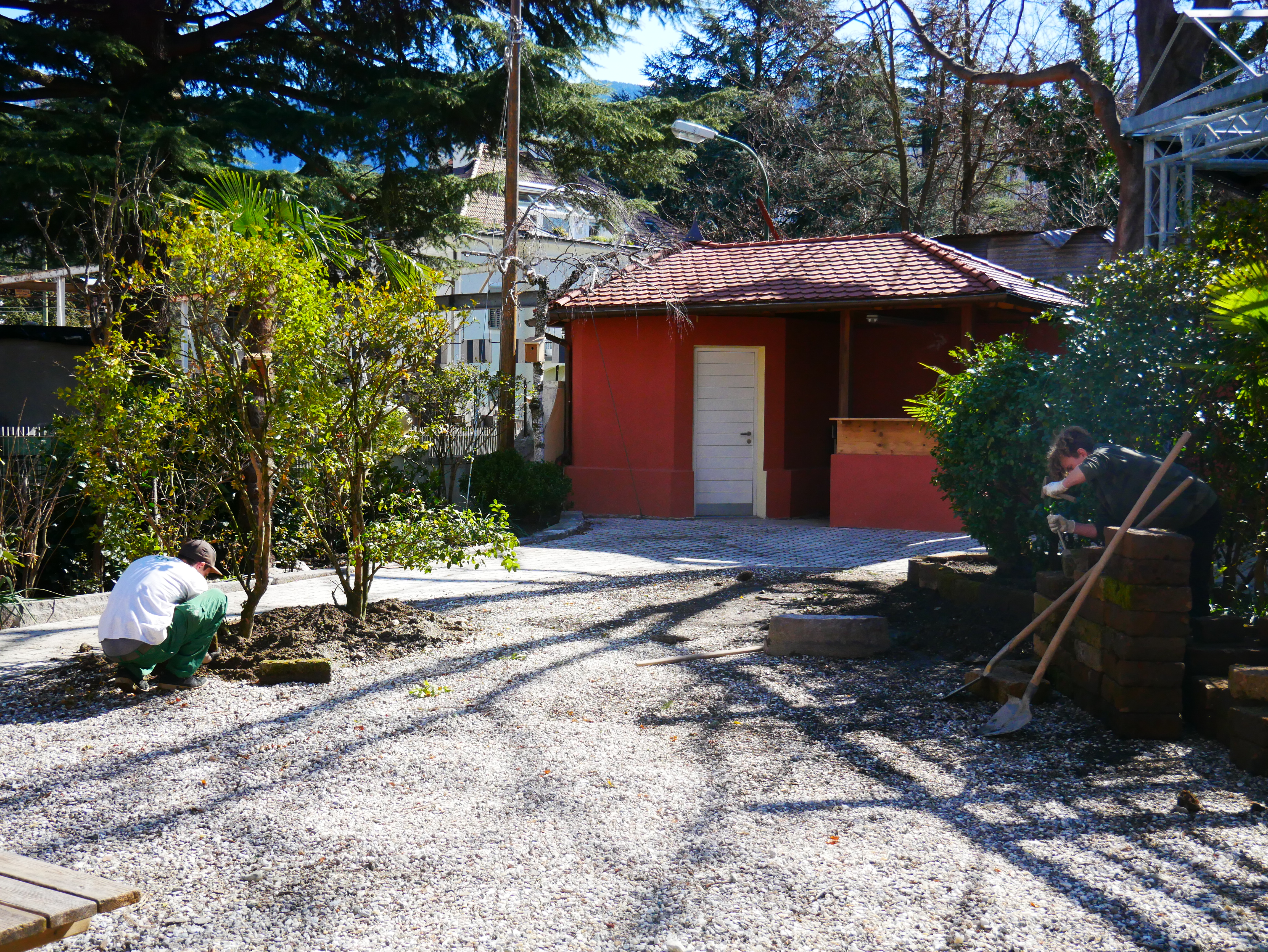 Randsteine Parkpflanzen - Pietre di confine per le piante del parco - Jugendzentrum Jungle Meran - Centro giovani Jungle Merano