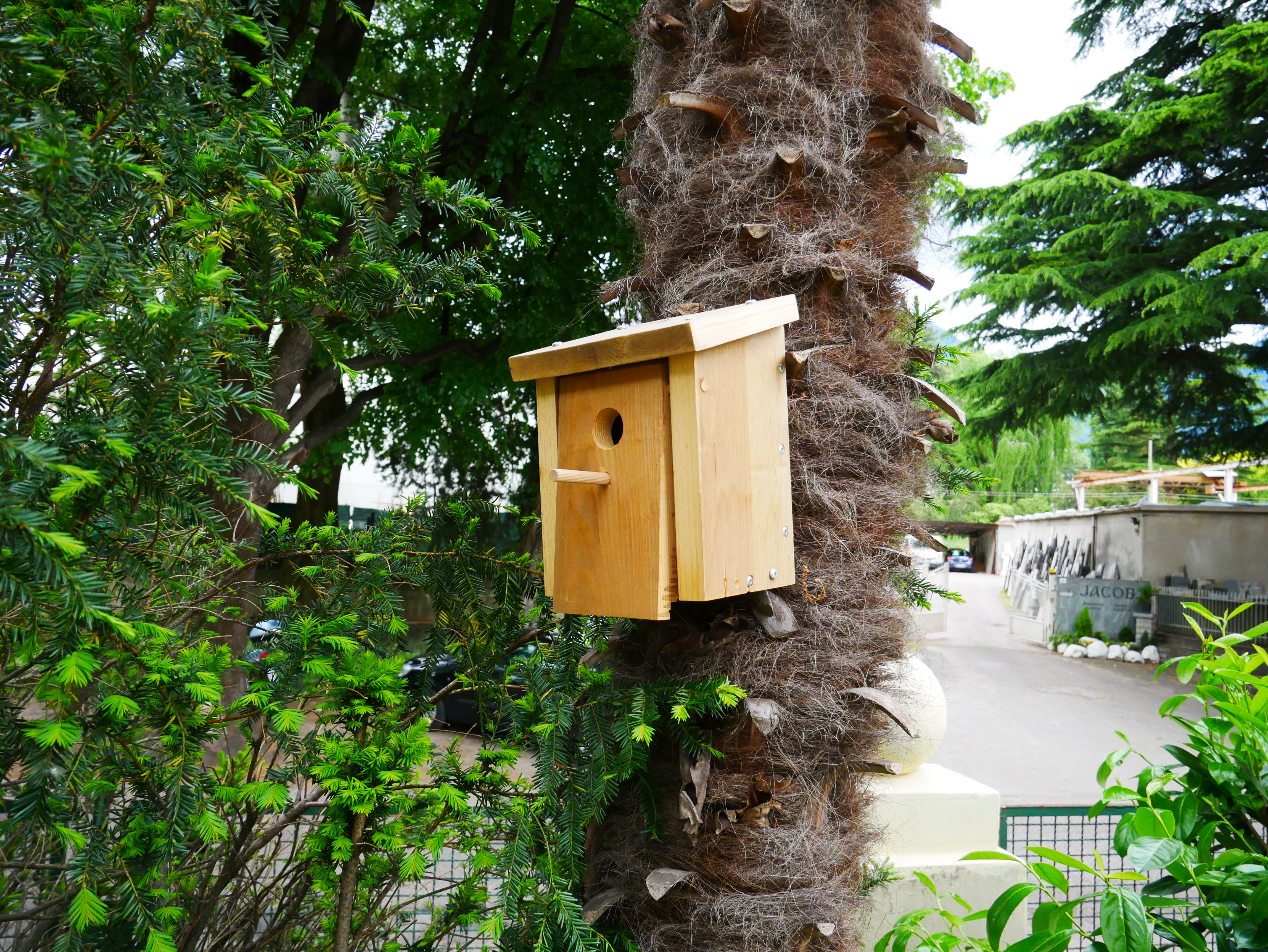 Vogelhäuschen fürs ganze Areal - Casette per gli uccelli sull'intero areale - Jugendzentrum Jungle Meran - Centro giovani Jungle Merano