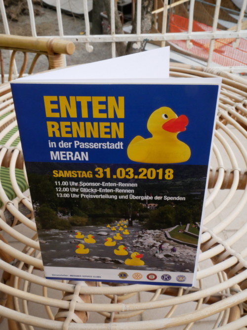 Entenrennen - Jugendzentrum Jungle Meran - Centro giovani Jungle Merano