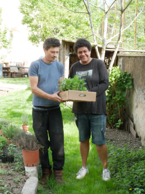 Gartenarbeit - lavori in giardino - Jugendzentrum Jungle Meran - Centro giovani Jungle Merano
