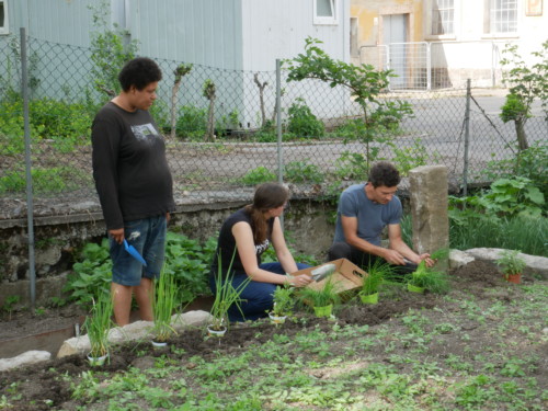 Gartenarbeit - lavori in giardino - Jugendzentrum Jungle Meran - Centro giovani Jungle Merano
