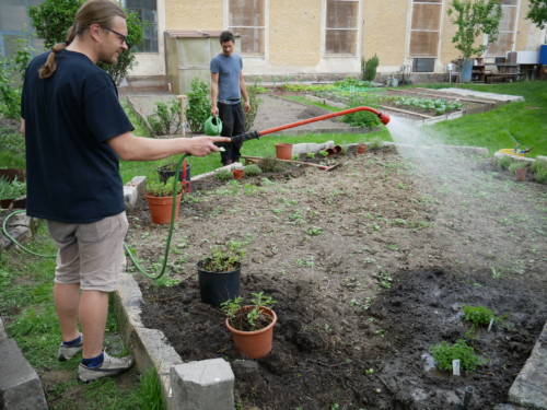 Gartenarbeit - lavori in giardino - Jugendzentrum Jungle Meran - Centro giovani Jungle Merano