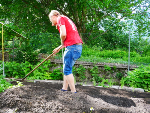Gartenarbeit - Giardinaggio - Jugendzentrum Jungle Meran - Centro giovani Jungle Merano