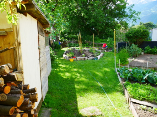 Gemüsegarten - Orto - Jugendzentrum Jungle Meran - Centro giovani Jungle Merano