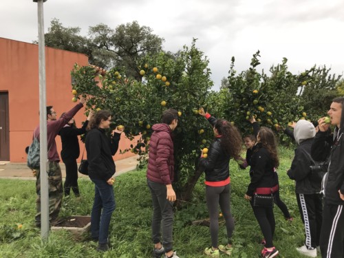Travel Against Mafia 2018 - Jugendzentrum Jungle Meran - Centro giovani Jungle Merano