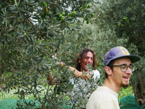 Travel Against Mafia 2018 - Jugendzentrum Jungle Meran - Centro giovani Jungle Merano